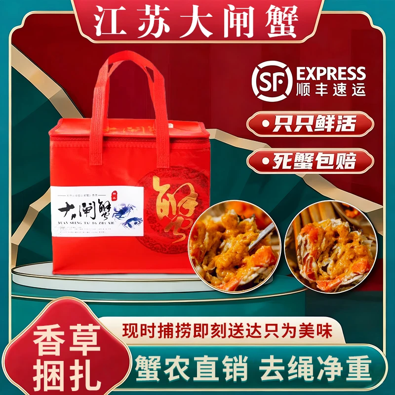 活蟹/江苏大闸蟹/全母蟹3.5两(3.4-3.8规格)8只顺丰冷链发货