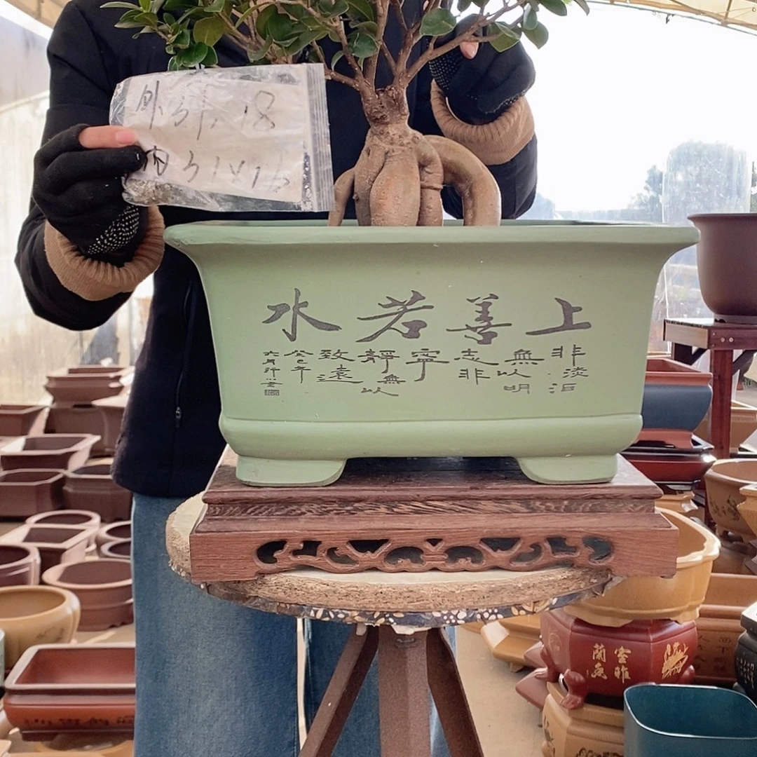 紫砂花盆紫砂花盆