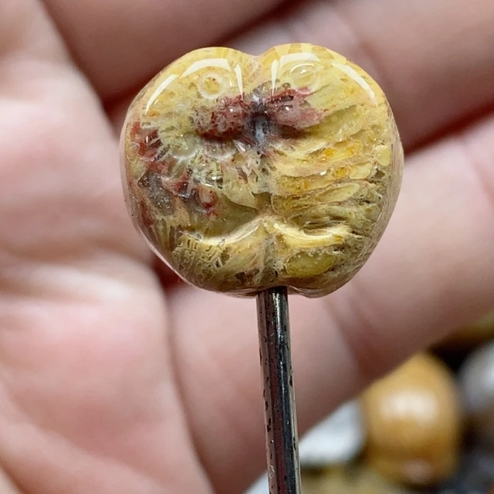 颈饰未镶嵌硅化珊瑚（珊瑚玉）