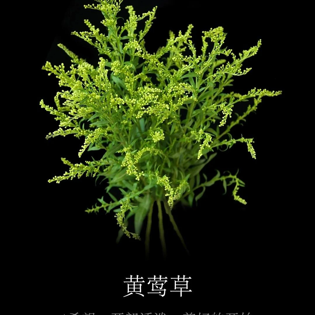 【幸福草4支】鲜花配草