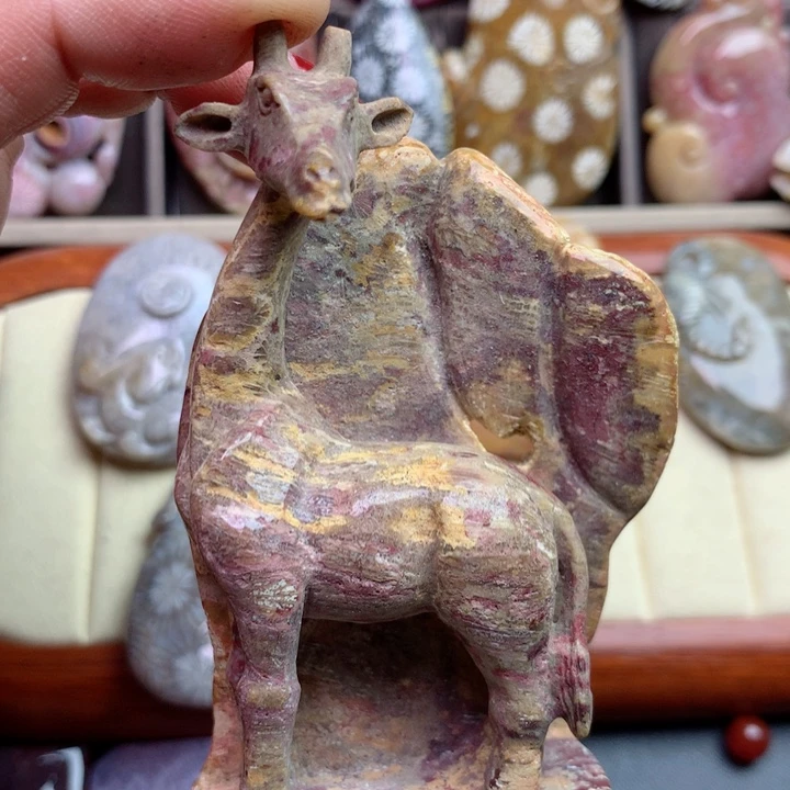 硅化珊瑚（珊瑚玉）颈饰未镶嵌