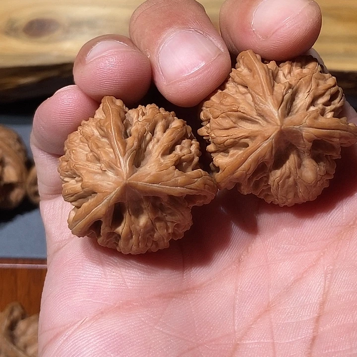 文山正奔边34高32全品