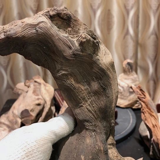 【闪购商品】柏木吴**王65446743374678