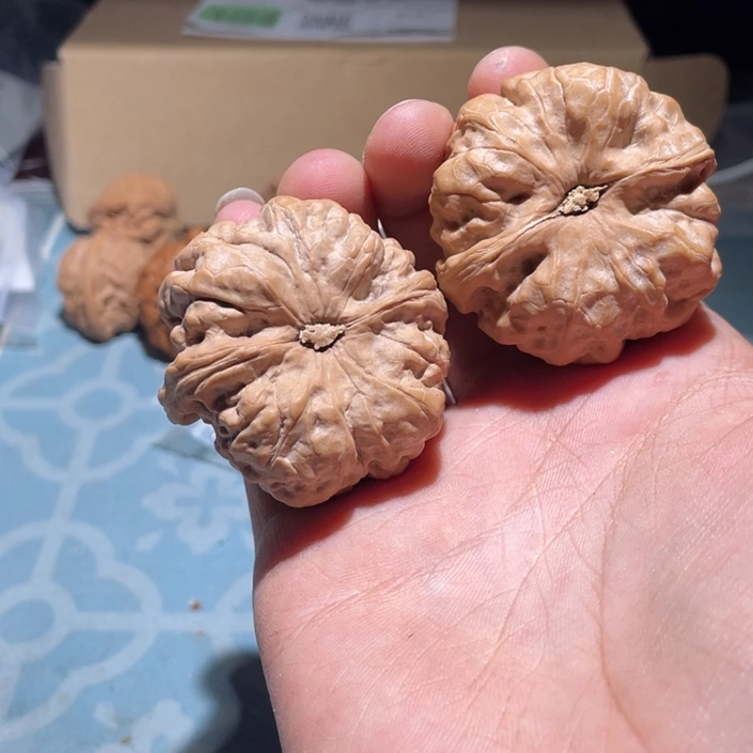 文玩核桃吊坠菘蛤蟆头