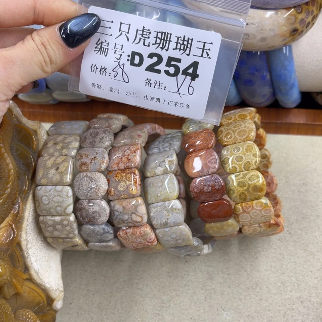 把***去硅化珊瑚（珊瑚玉）h未镶嵌