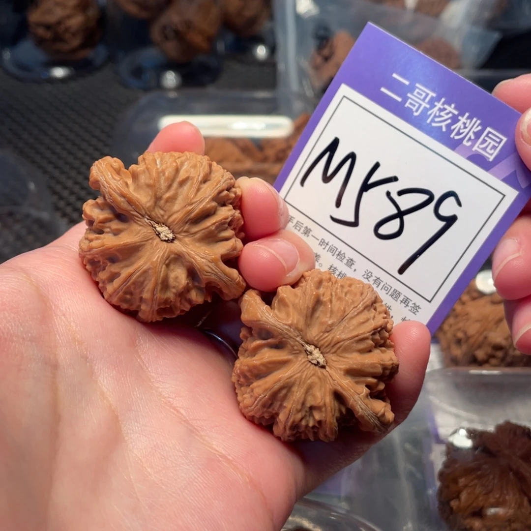 把件桃核M589号白狮子41
