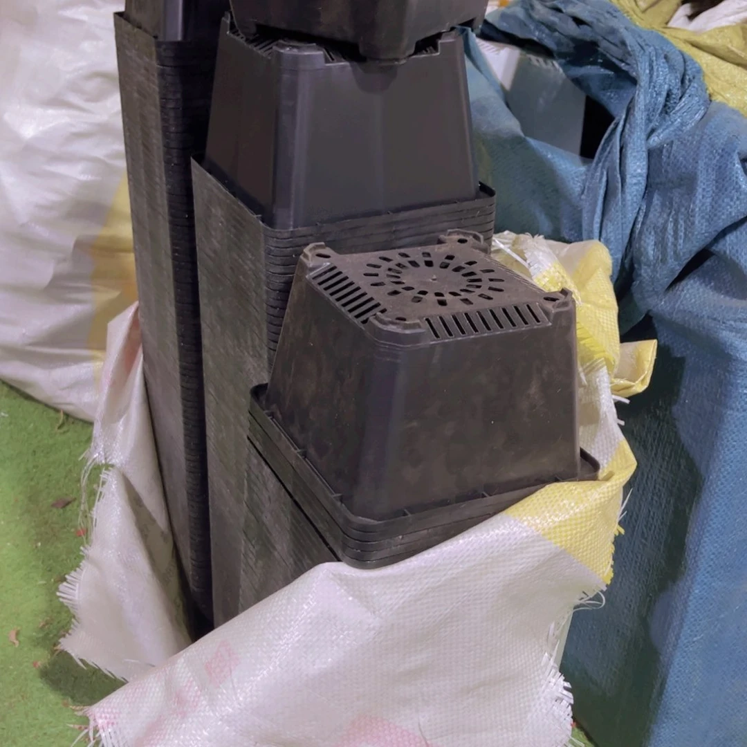 塑料18公分黑方盆15个