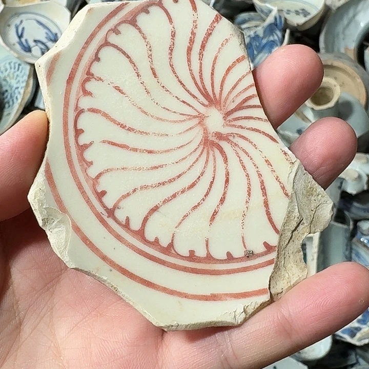 ****点瓷片瓷片标本，顺丰包邮
