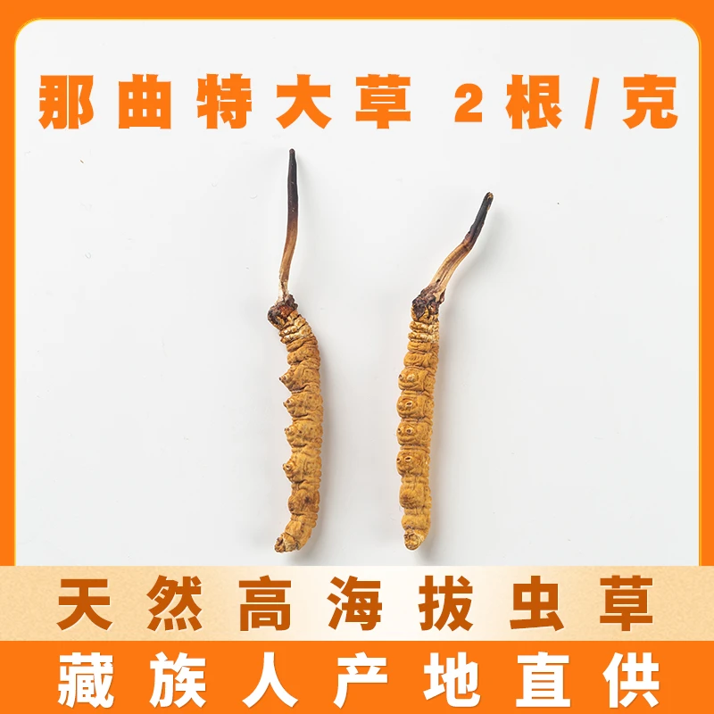 【那曲特大草2根/克】草小二天然虫草 西藏那曲官方旗舰店藏族直供