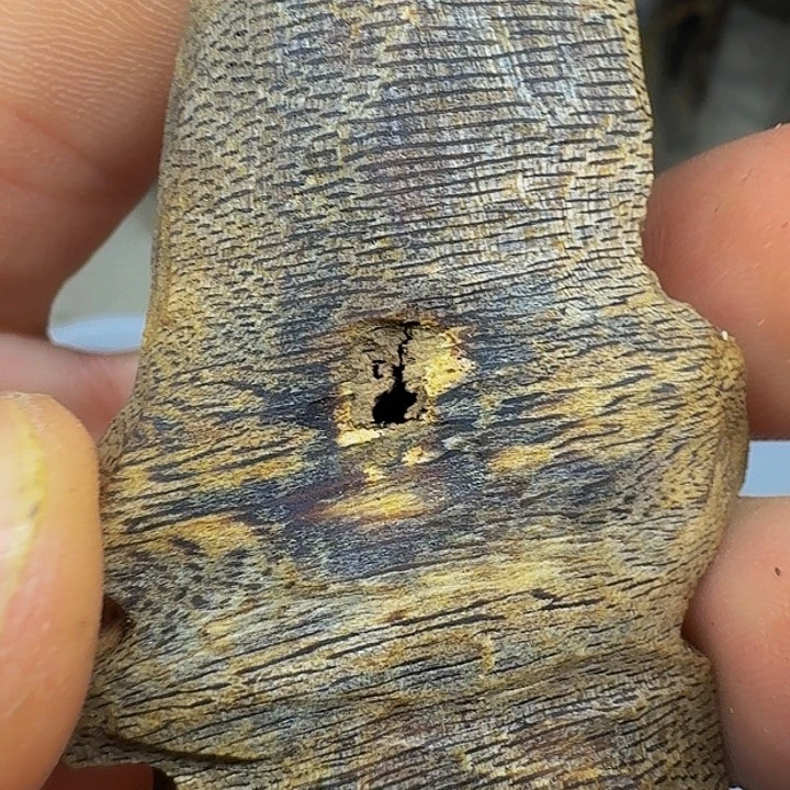 沉香沉香碎屑7.6 克