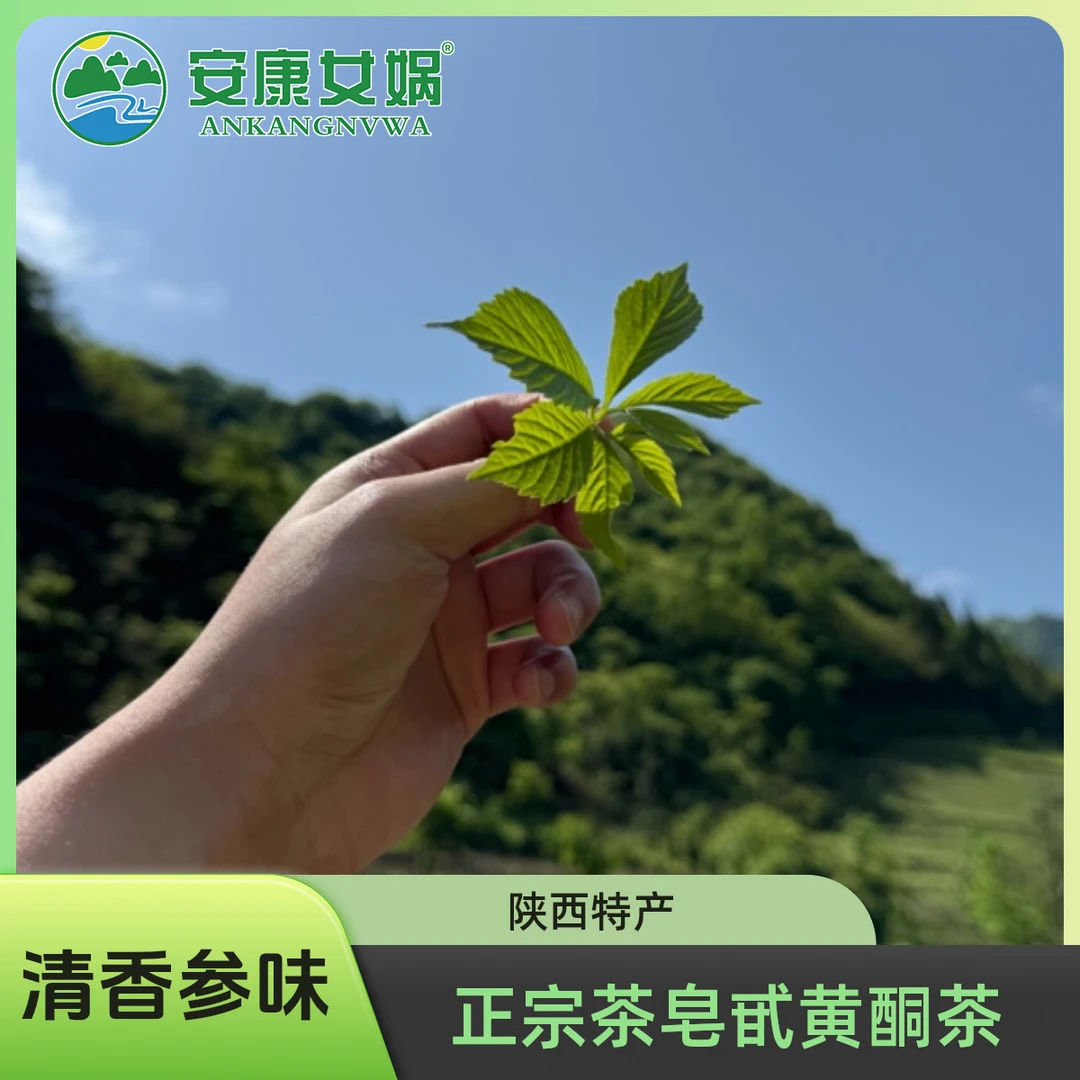 平利绞股蓝七叶龙须茶买100g送100g平利红茶