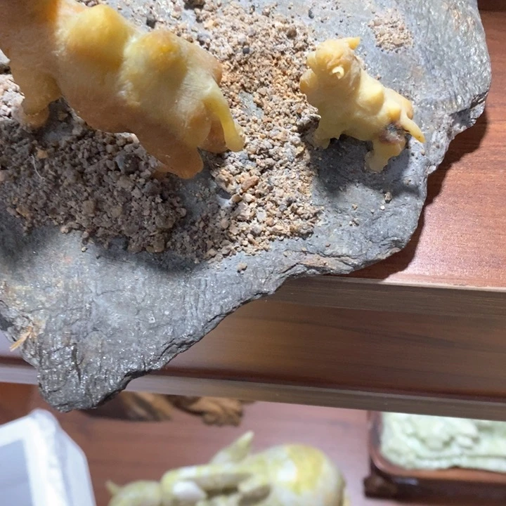 蛇纹石玉手把未镶嵌赵****线