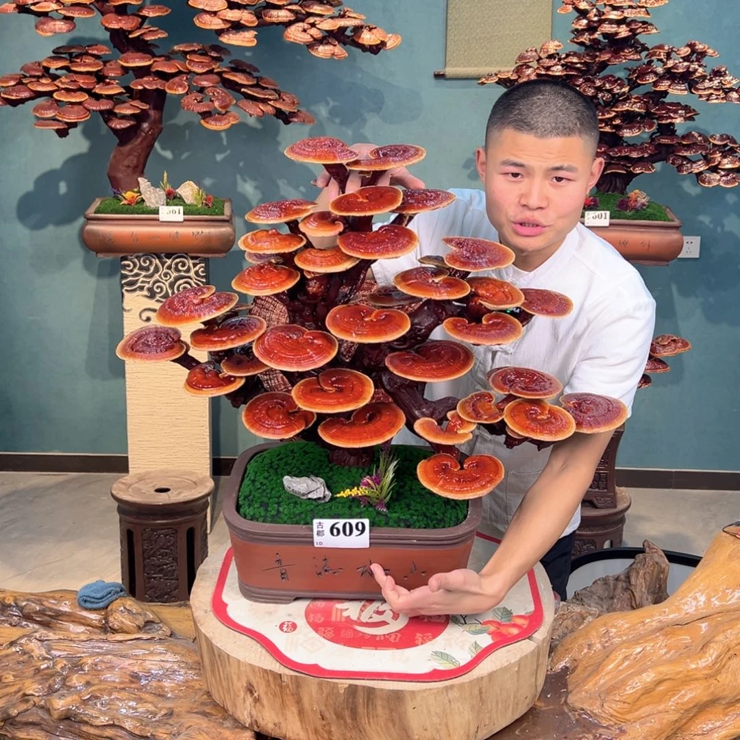 无花朵8888888888888