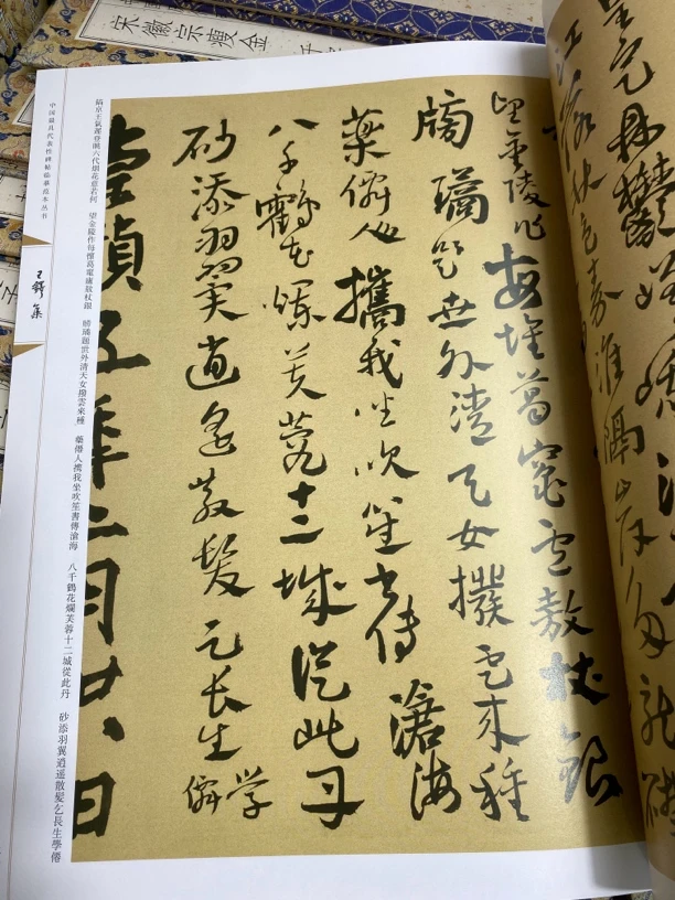 王铎合集册页本