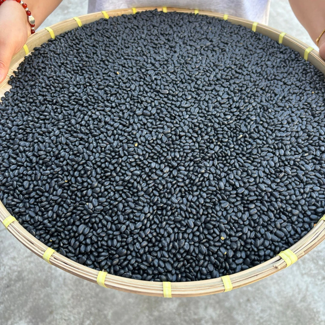 小玉山货 黑豆 肾性小黑豆