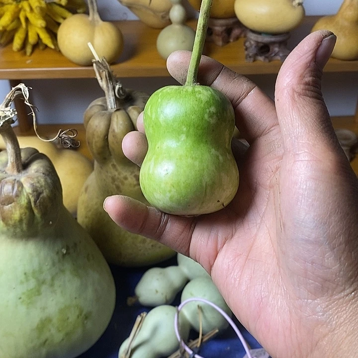 画***圈青皮葫芦手把件葫芦三肚