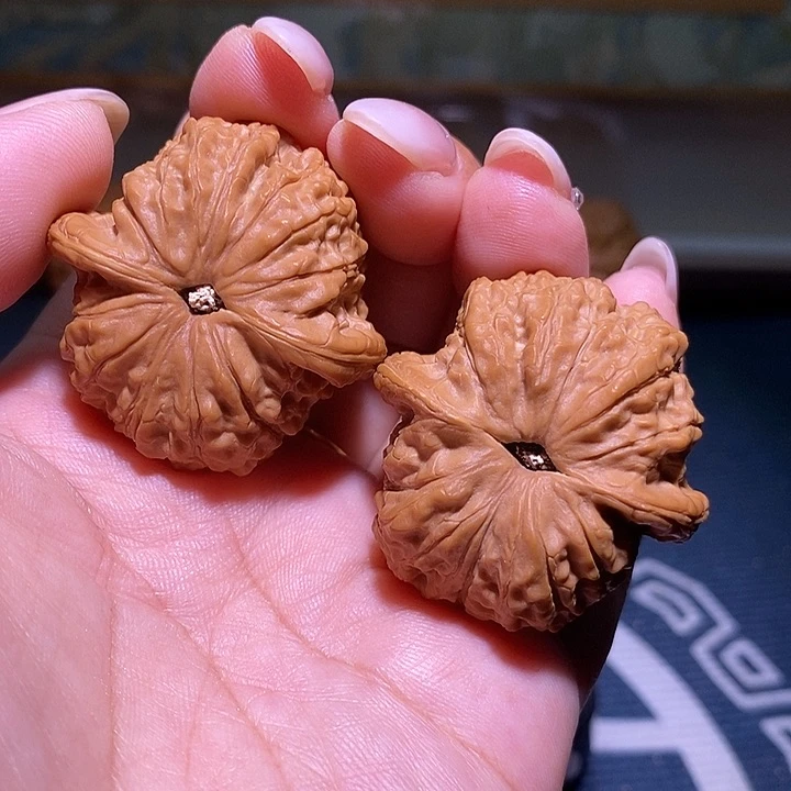 文玩核桃把件37.5血麒麟