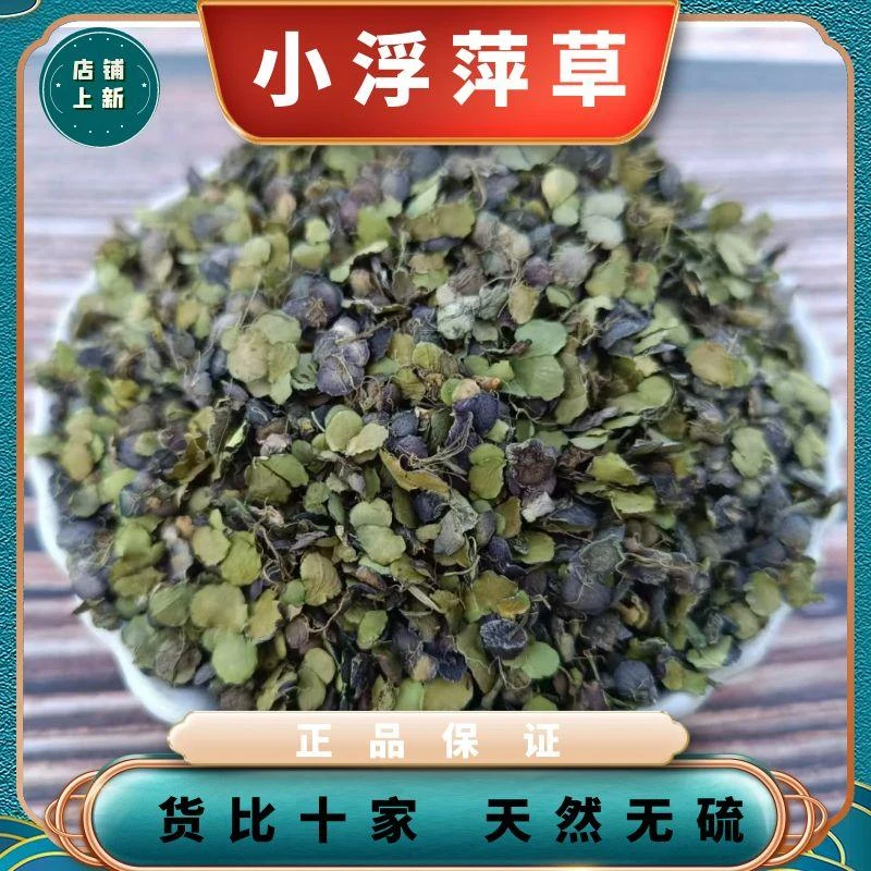 野生小浮萍草中药材水浮萍紫背小浮萍中草药纯天然无硫另售牛蒡