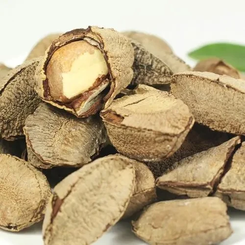 带壳鲍鱼果沙漠果孕妇零食坚果香脆营养新疆特产散称食品