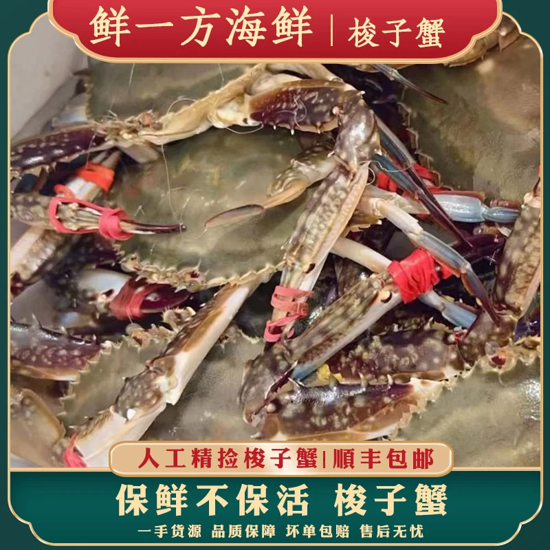 【保鲜不保活】大连海捕螃蟹海蟹梭子蟹3-5两 3斤8-12只 顺丰