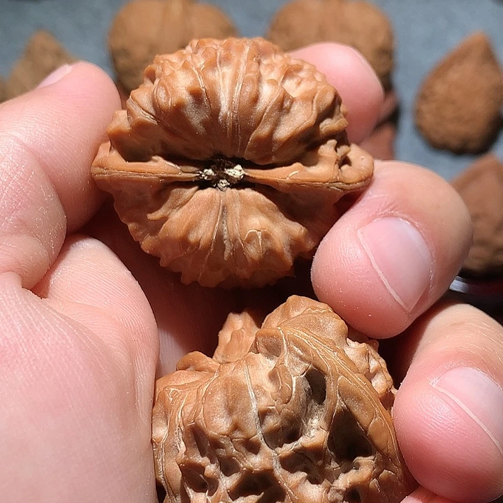 文玩核桃把件角蛙42