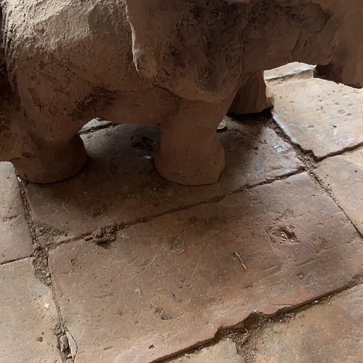 香榧木88888888888898888