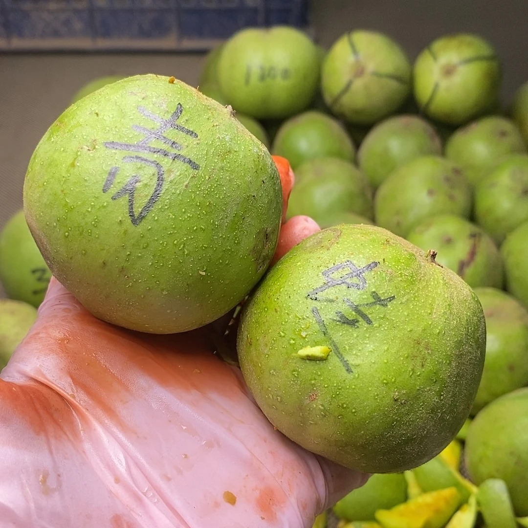 文玩核桃吊坠怀柔老树蛙青皮