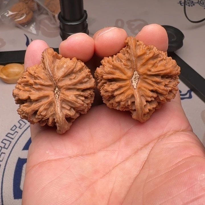 桃核把件山地满天星44+尺4