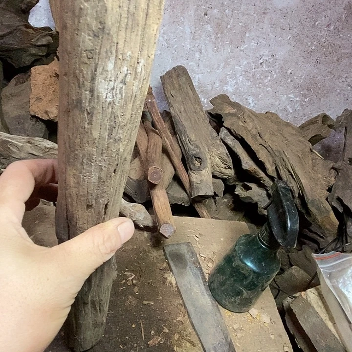 股***杨贡木把件我们都市丽人医院是个