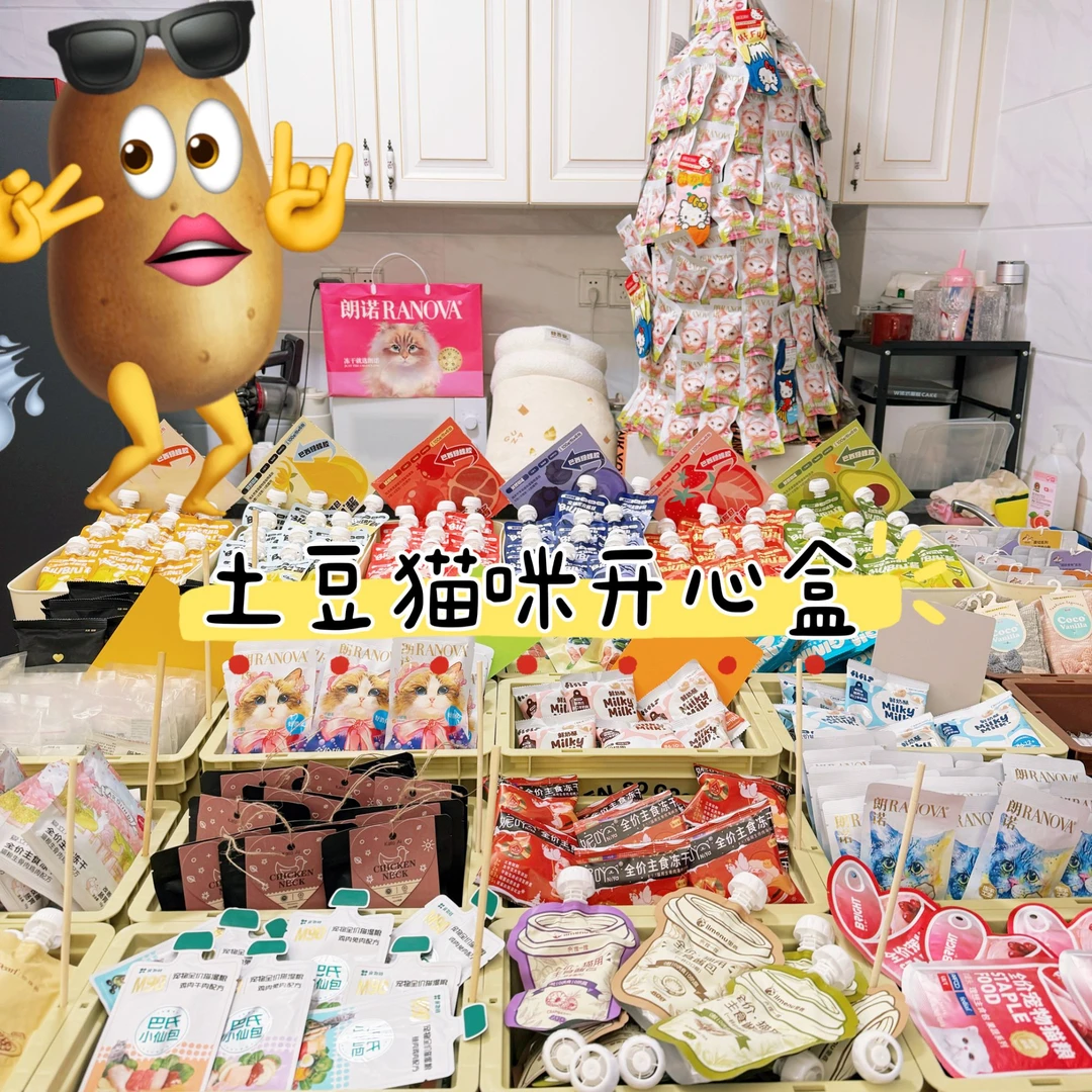 【土豆大盒子】宠物用品女神整顿职场