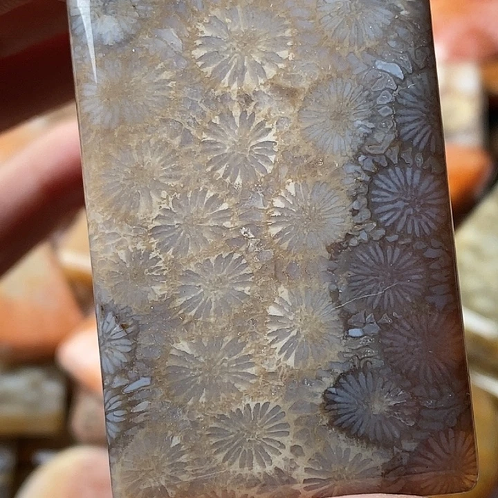 茗***硅化玉未镶嵌吊坠