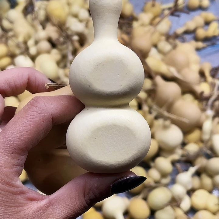 加***壹大叶紫檀（黑酸枝木类）