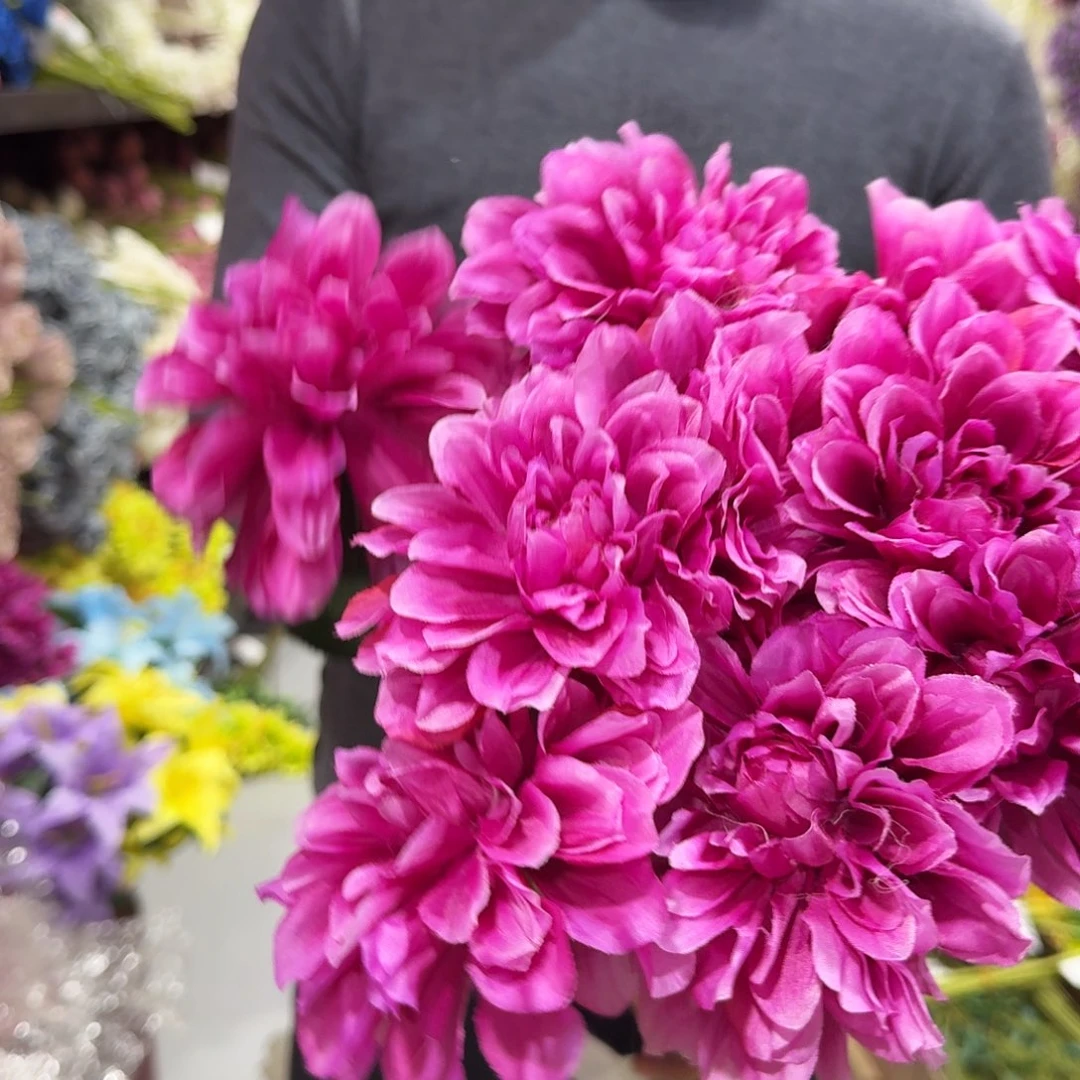 紫色单只重瓣大丽花15支装