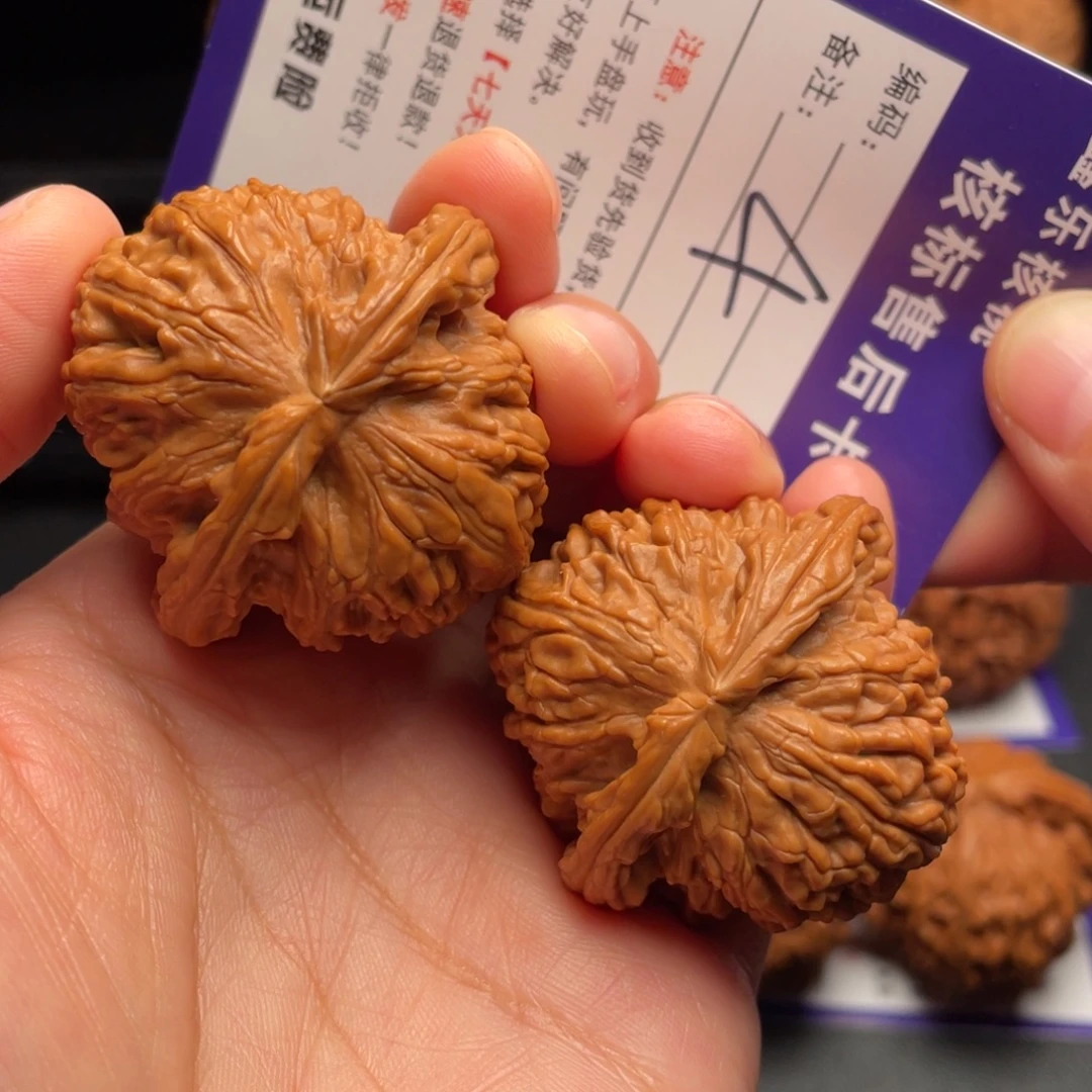 文玩核桃把件白狮子42加尺