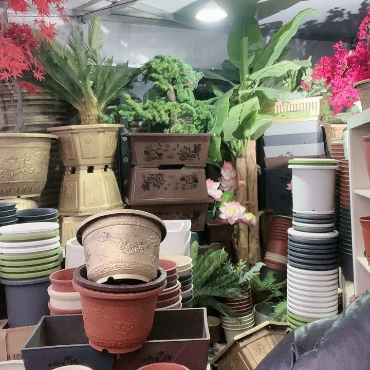 复合盆景558668866