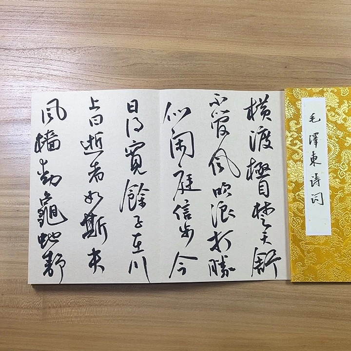 书法中书协会员作品