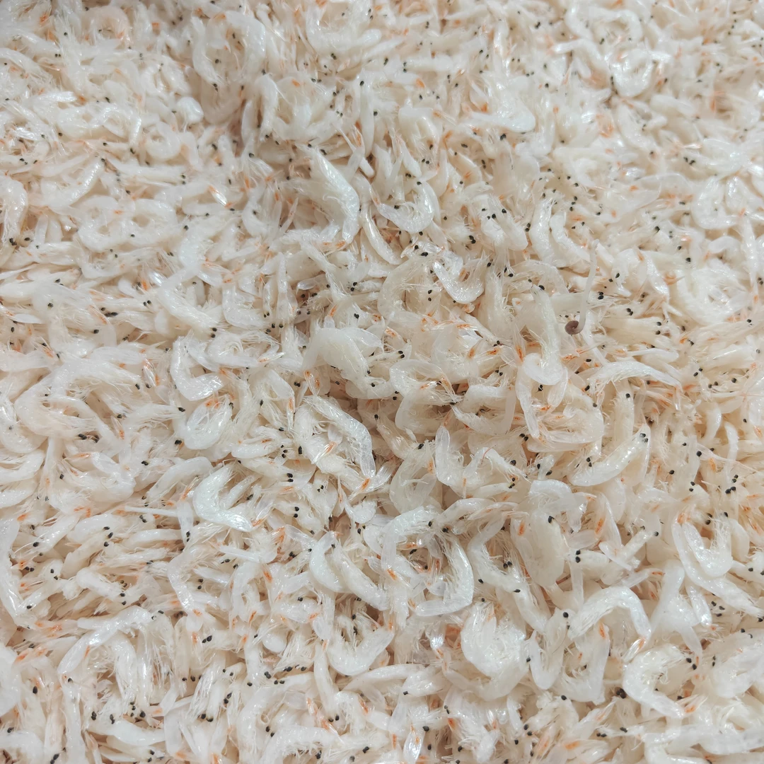 新货上市优质淡干无盐干净新鲜虾皮美味营养