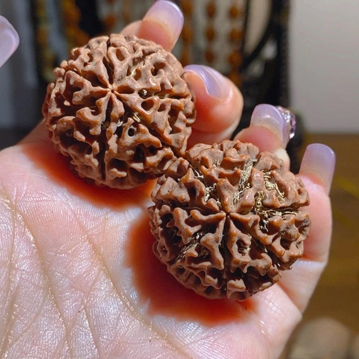 野生多瓣大金刚把件327