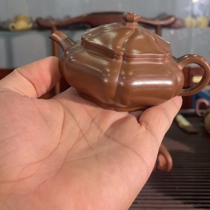 茶壶紫砂哈哈哈哈哈这个综艺节目真的是太棒了