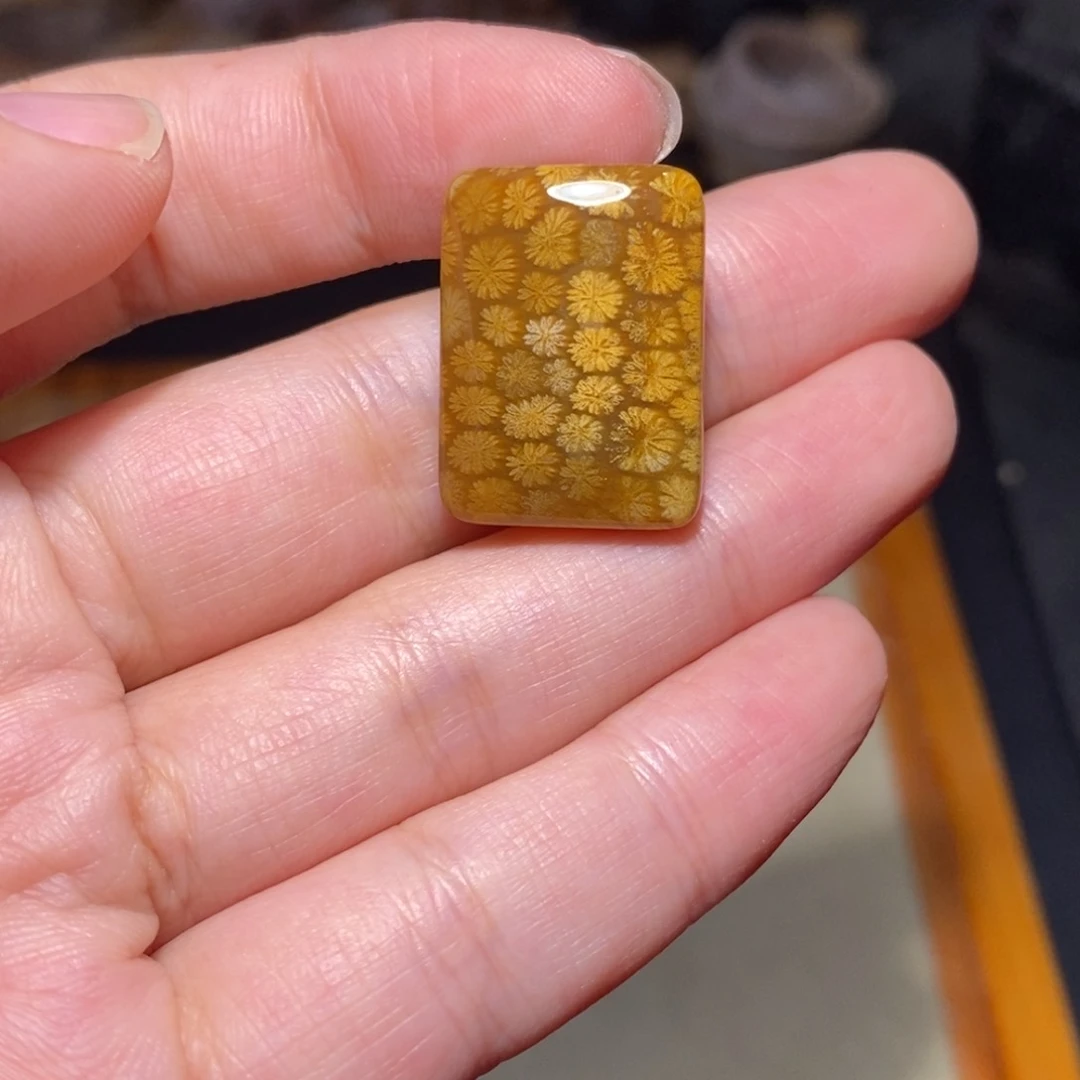 【闪购商品】硅化玉珊瑚玉未镶嵌