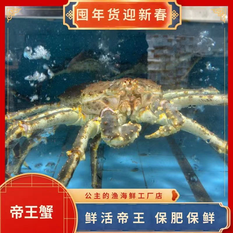 【保价暂养发货】鲜活帝王蟹 【现场称重】包鲜不包活 （5%-10%脱水率）