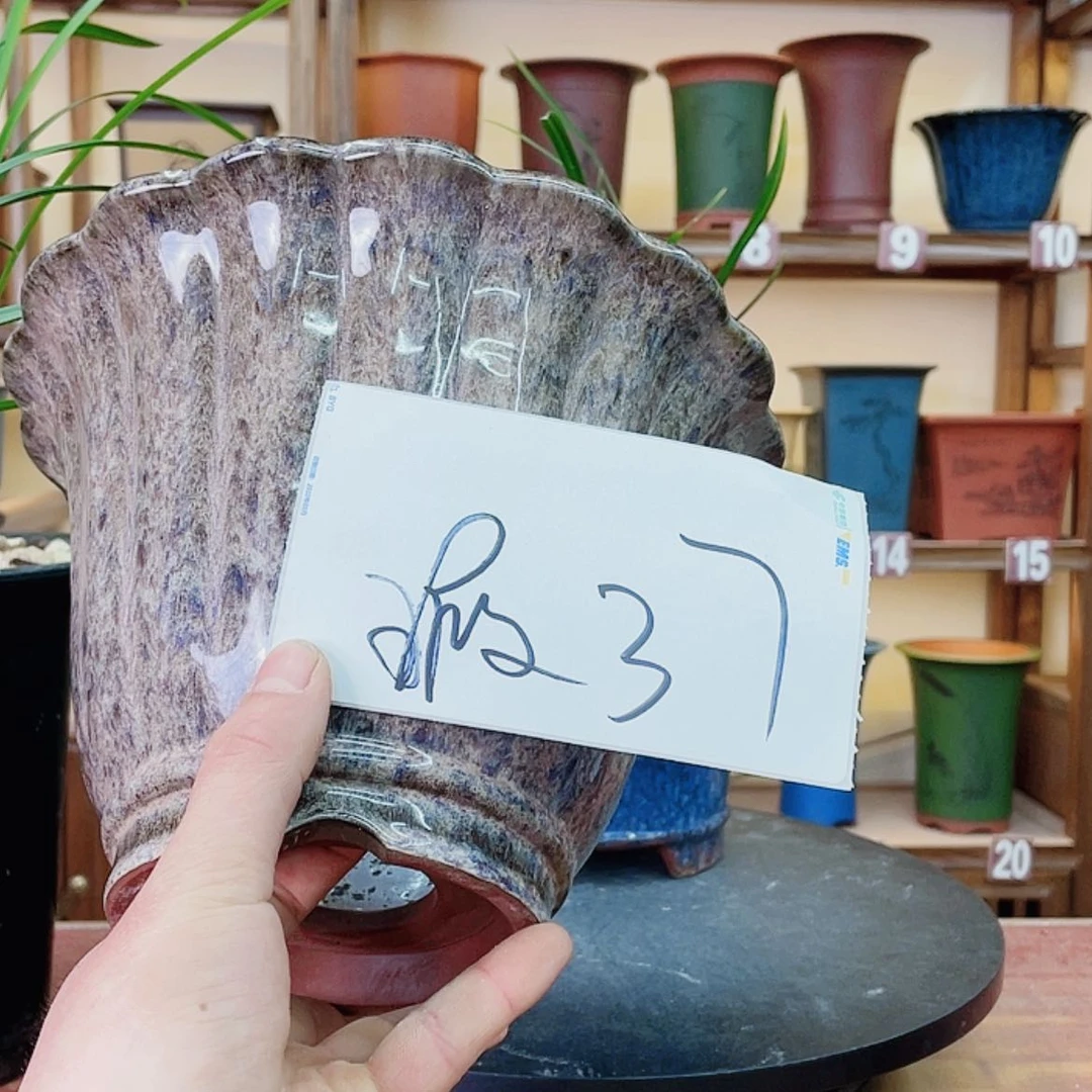 【闪购商品】紫砂花盆?***惯兰花4526555555668888