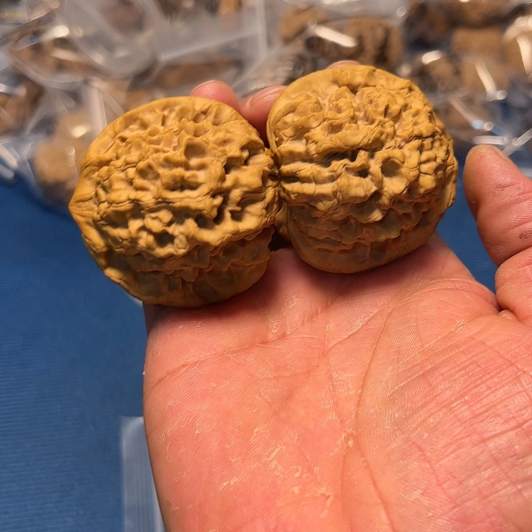 文玩核桃吊坠松*龙鼎