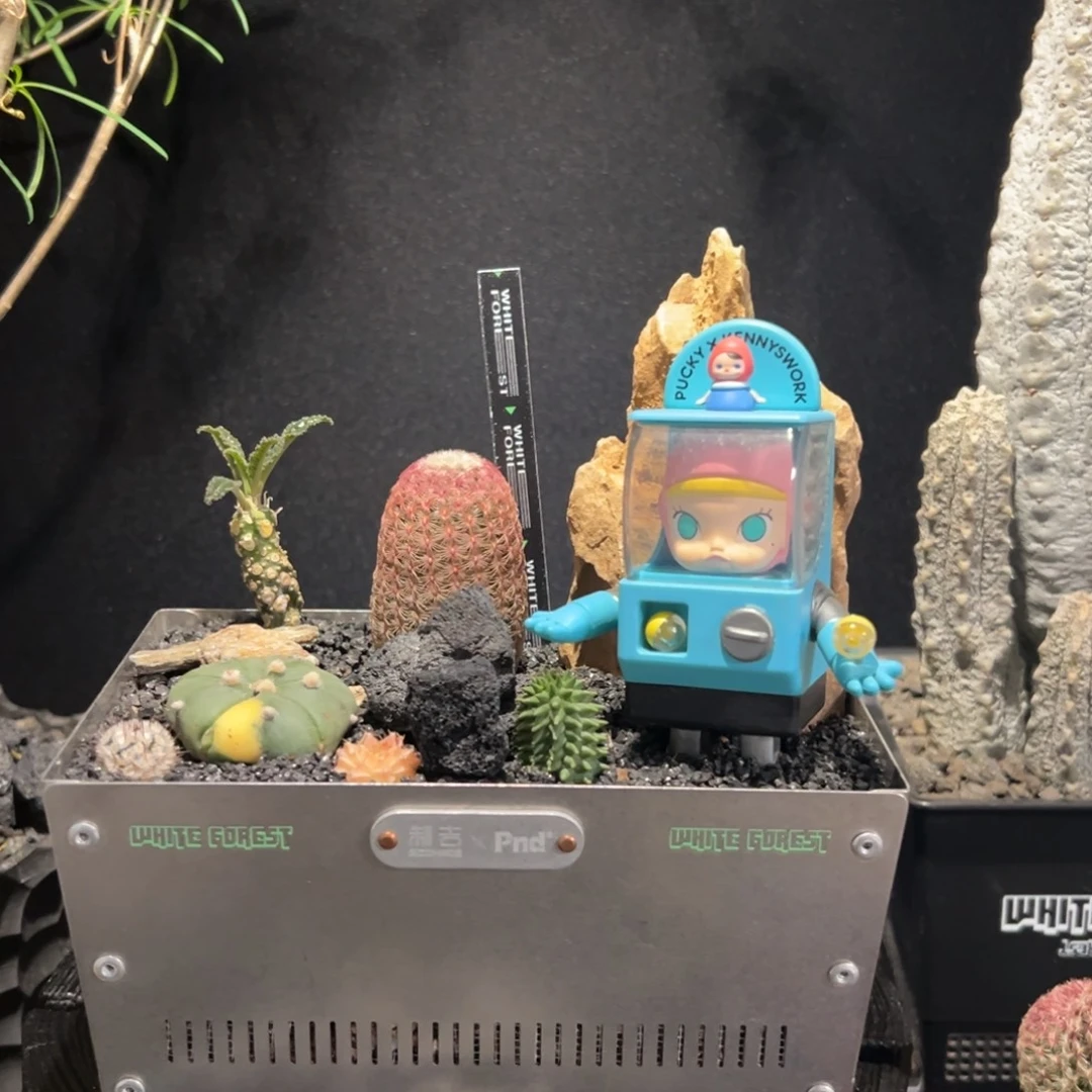 A08工业风一物一拍带盆土