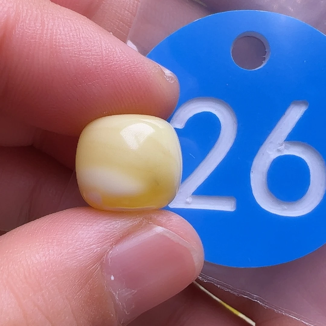 未镶嵌蜜蜡裸石花粉12.3m m