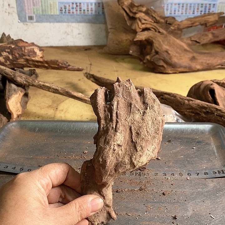 花梨木类義海南花梨