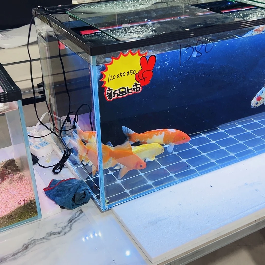 楼***宇玻璃120.50.50背双鱼马桶全套