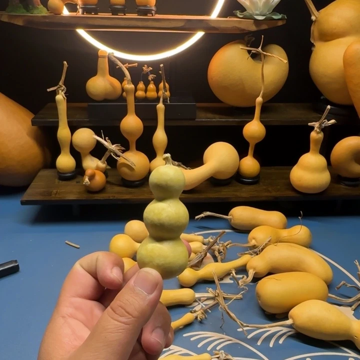 为***玄葫芦556699999999