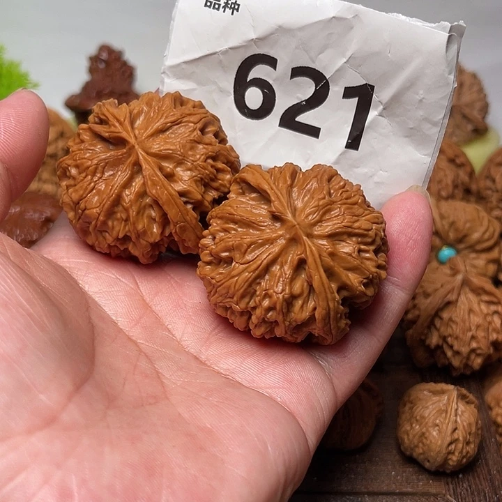 把件桃核全  毕业苹果园 边45。 621