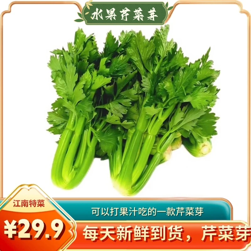 顺丰新鲜水果芹菜芽蔬菜云南高原西芹嫩芽高端特色食材500g清芹芽